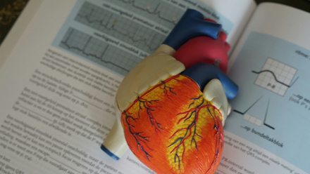 heart-diagram-on-a-book