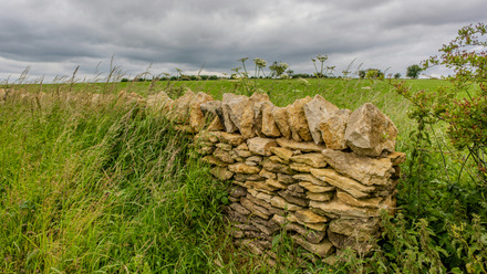 green scenery with stone hedge.jpg