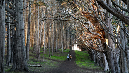 rural walking route