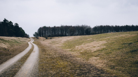 land and dirt path