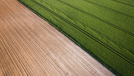 land contrast colours